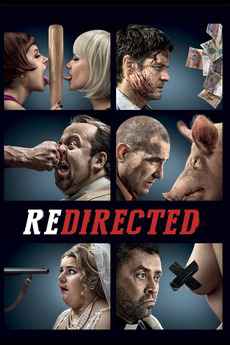 Redirected 2014 UNRATED BRRiP Audio 5.1 Hindi+Eng Full Movie